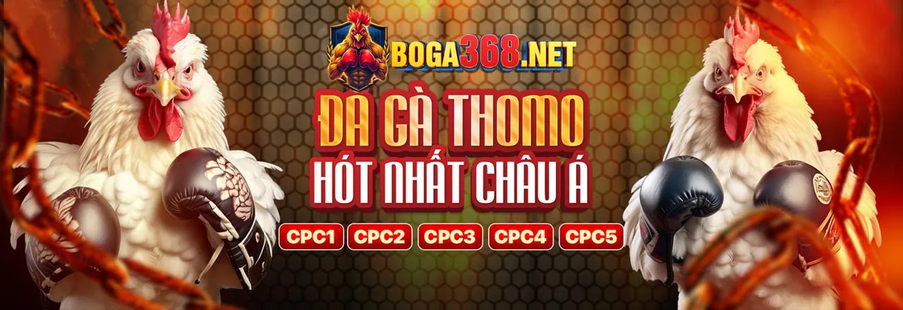 Hỗ Trợ Khách Hàng EV99